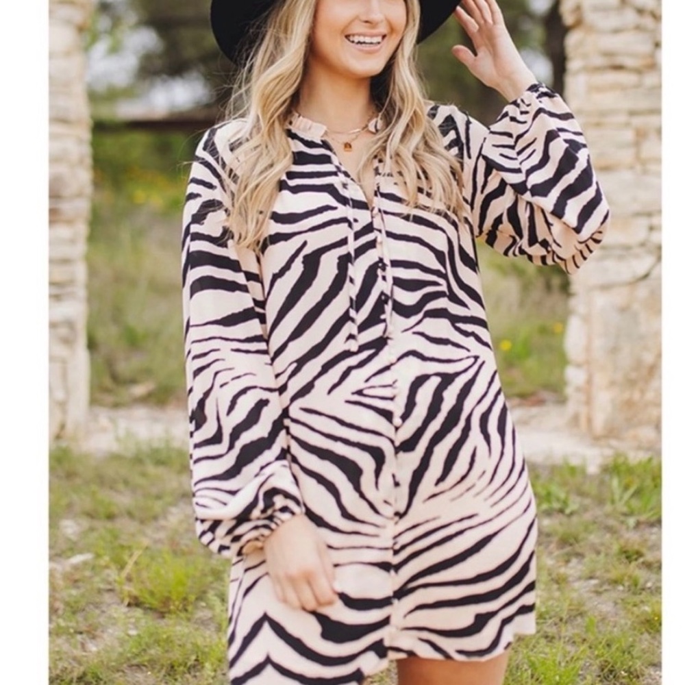 Buddy Love Zebra Print Mini Dress